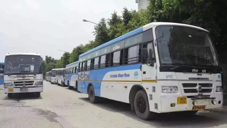bus