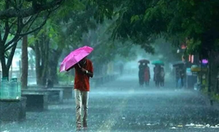 rain